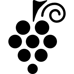 vineyard installations santa cruz